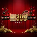 HI309 Game